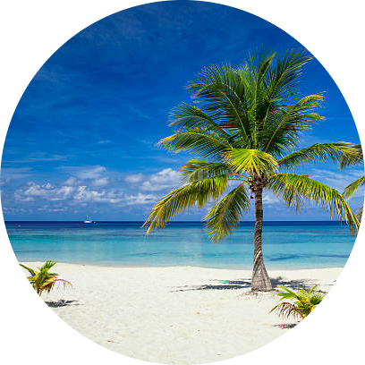 Caribbean